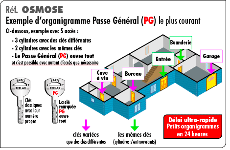 organigramme-classique