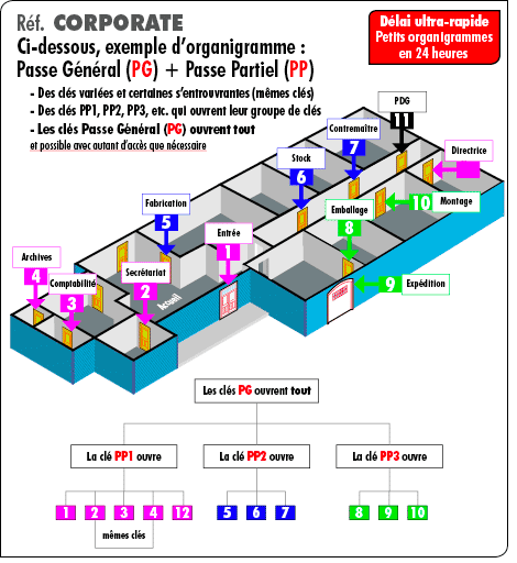 organigramme-pp